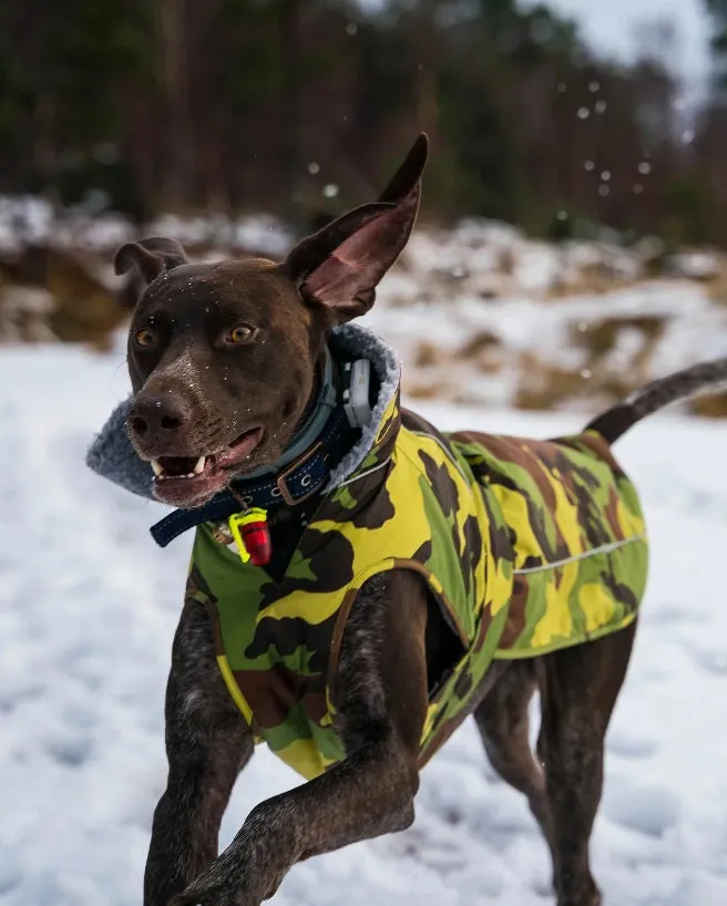 The Dryrobe Dog Jacket - waterproof and wind-resistant